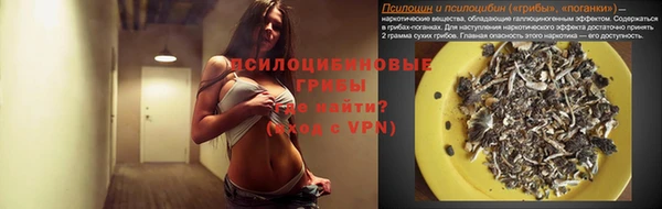 прущая мука Армянск