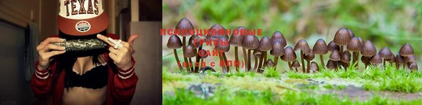 мяу мяу кристалл Аркадак