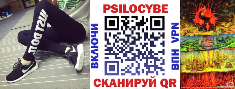Псилоцибиновые грибы MAGIC MUSHROOMS  где найти   Почеп 